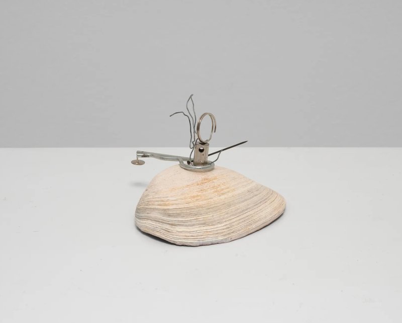 Navid Nuur, Disturbed Beach Balance, 0