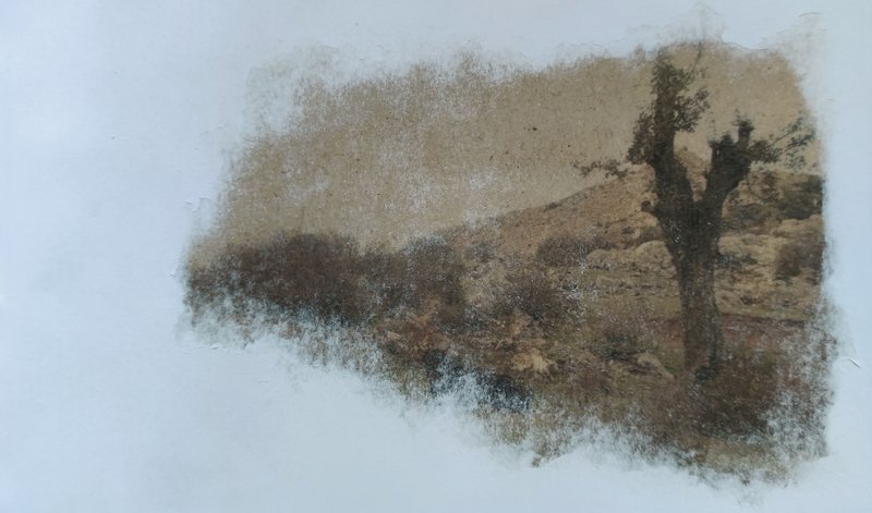 Sara Sasani, Untitled, 2024