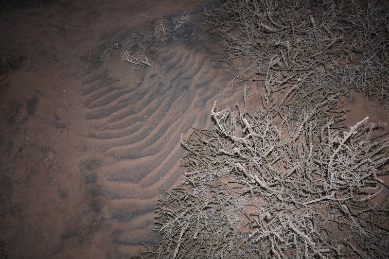 Hananeh Heidari, Hormuz, 0