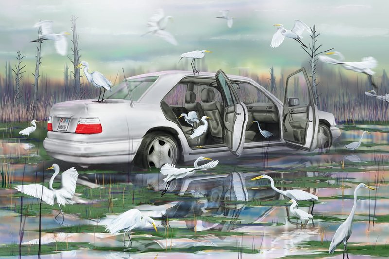 Louisa Gagliardi, Swamped, 2024
