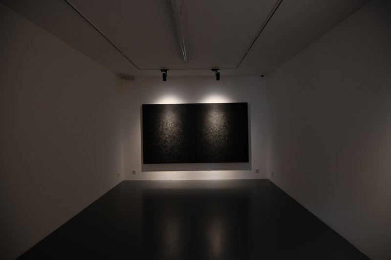 The Grown, installation view