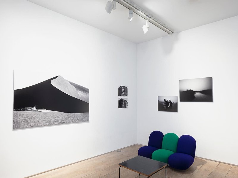 A Self Torn Apart, installation view