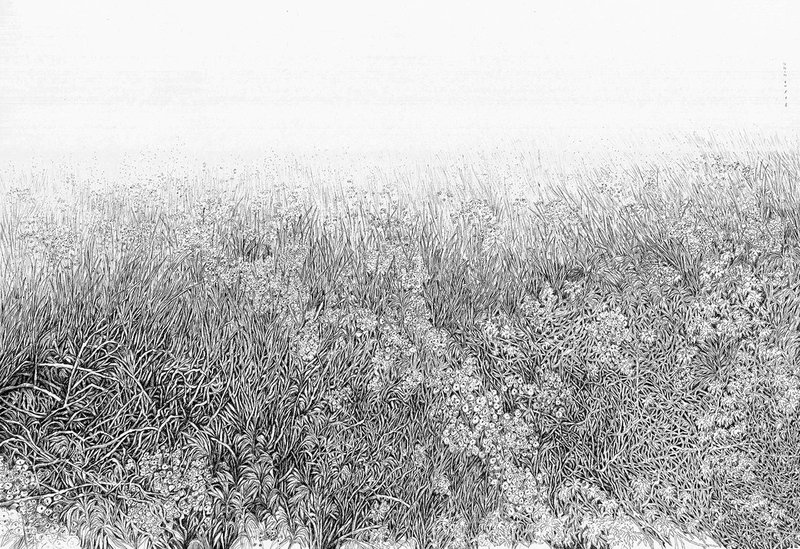Mahsa Arabzadeh, Untitled, 0
