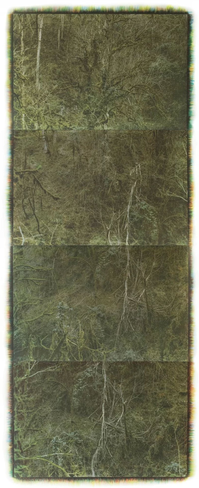 Mehrali Razaghmanesh, Untitled, 2020