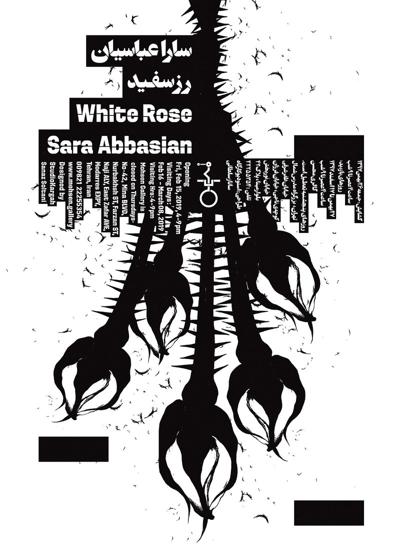 White Rose