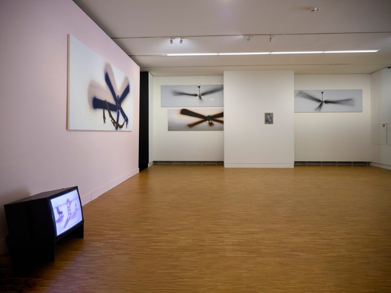 Death Fan, installation view