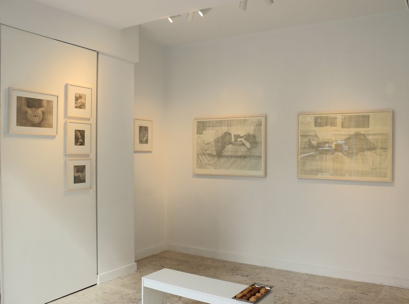 Forget-Me-Not, installation view