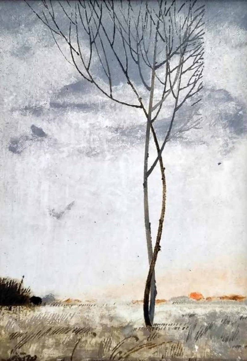 Rezvan Sadeghzadeh, Untitled, 0