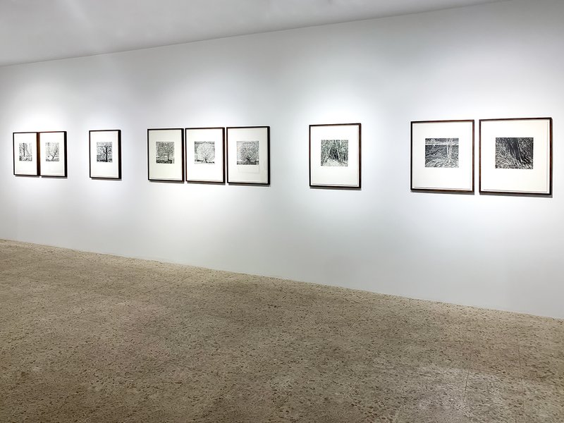 An Exhibition of Two Series of Works By Davood Emdadian, installation view