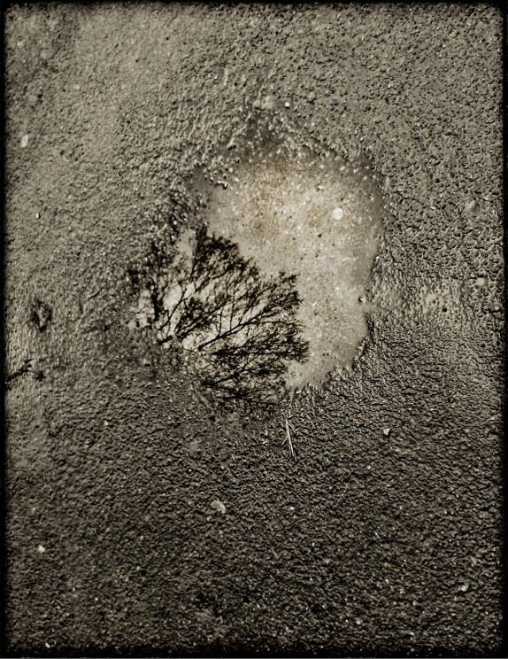 Babak Haghi, Untitled, 2014