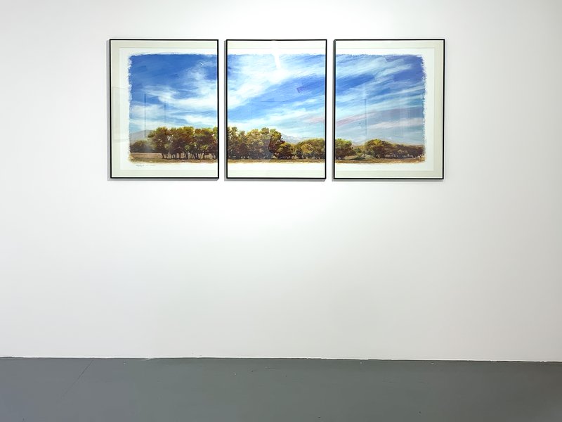 Gloom, installation view