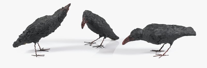 Bita Fayyazi, Crows, 1998