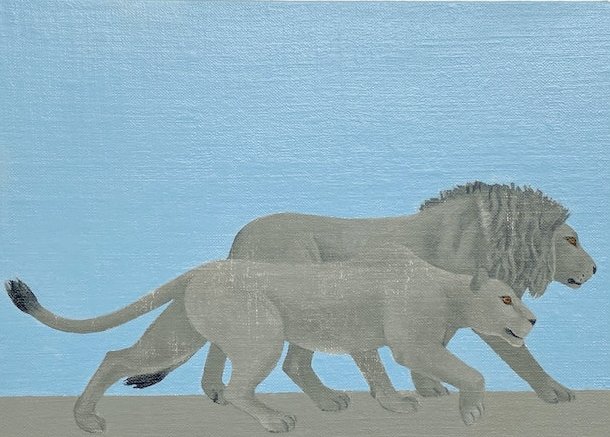 Maryam Amiryani, Safari: Lion, Lioness, 2022