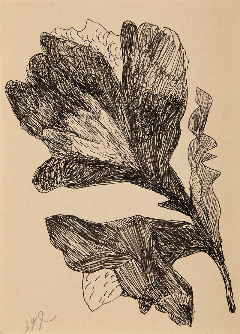 Raana Farnoud, Untitled, 2023