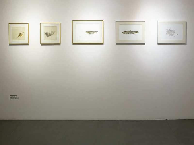 Rhyparography, installation view