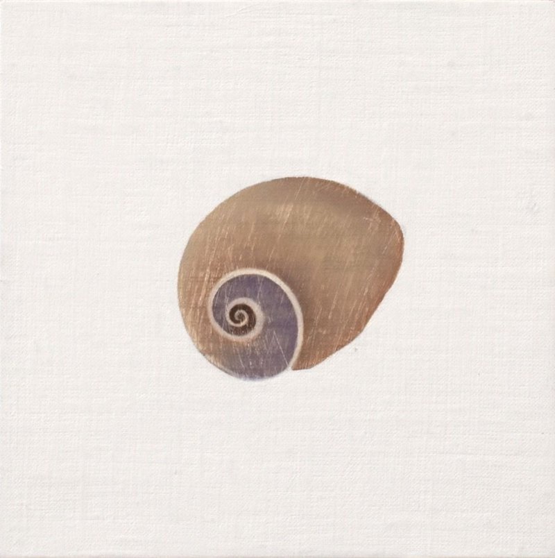 Maryam Amiryani, Shelter: Whale Eye Polincas Didyma, 2024