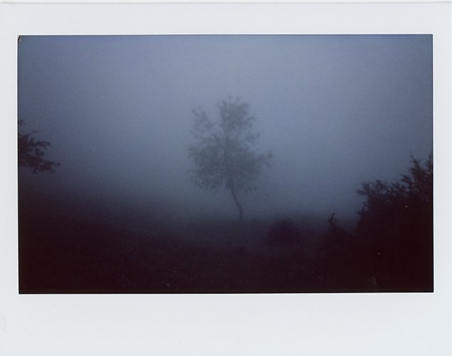 Mehrdad Afsari, Untitled, 0