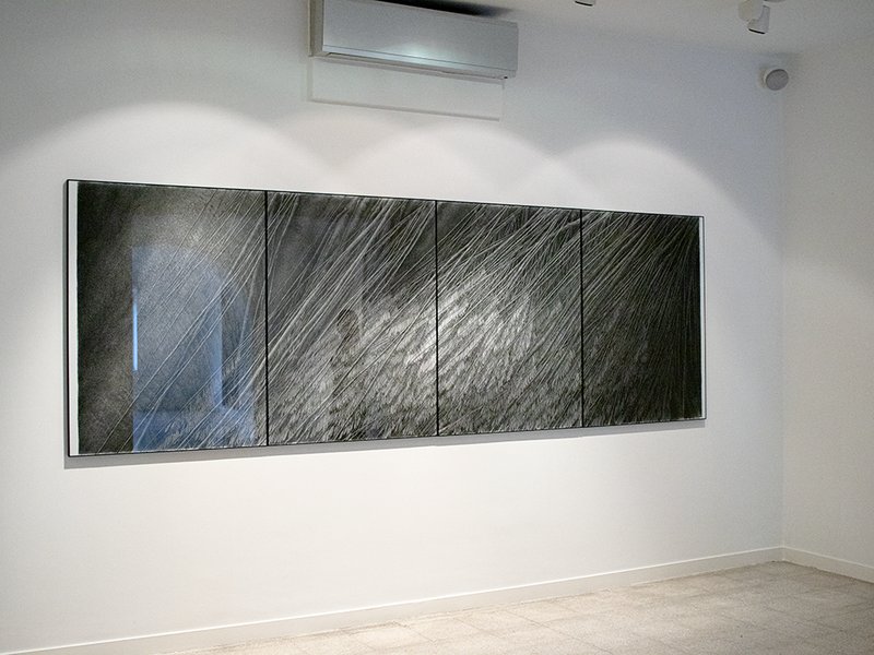 Naturae, installation view