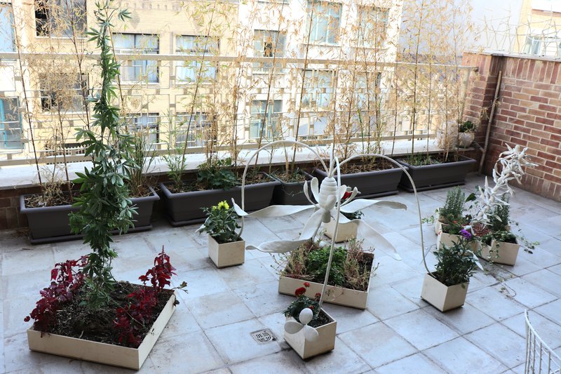 Enchanted Beanstalk, installation view