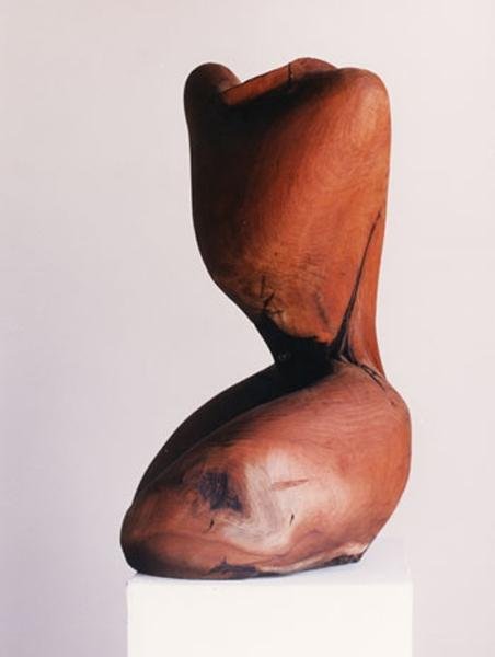 Fatemeh Emdadian, Untitled, 0