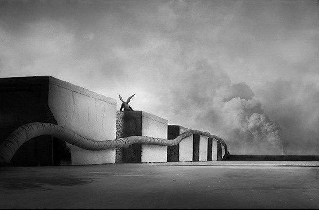 Majid Koorang Beheshti, Untitled, 0