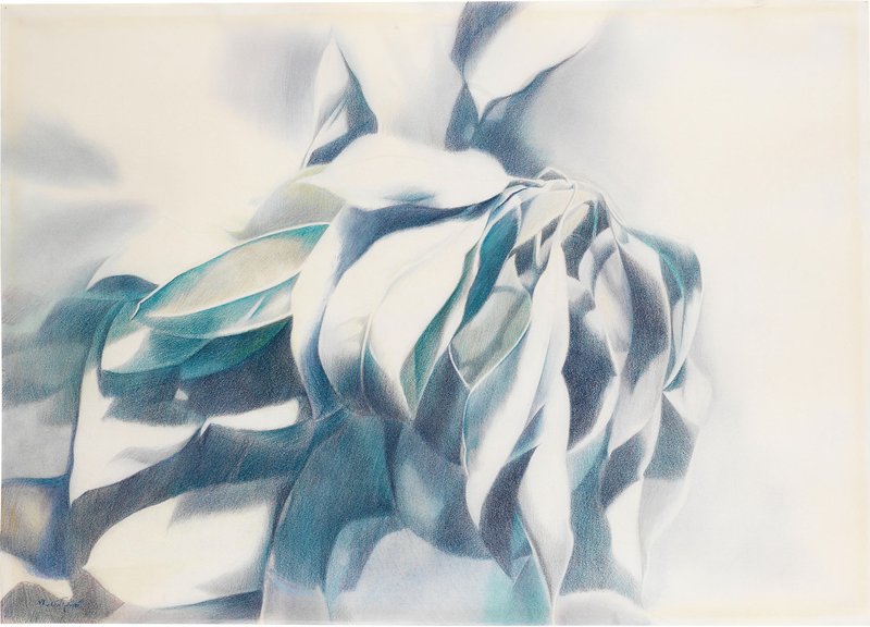 Kaveh Najmabadi, Untitled, 0