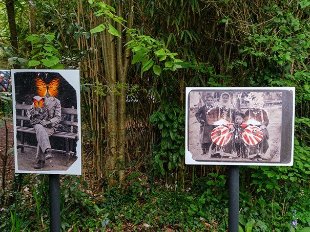 La Gacilly Photo Festival, installation view