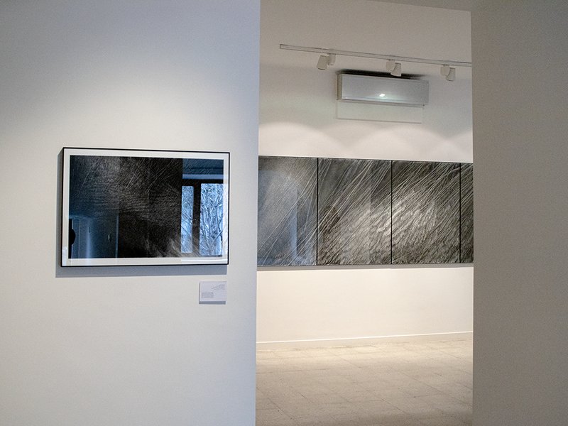Naturae, installation view