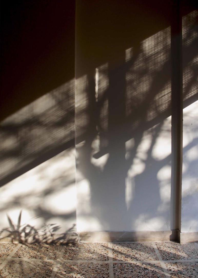 Naghmeh Ghasemloo, Untitled, 0