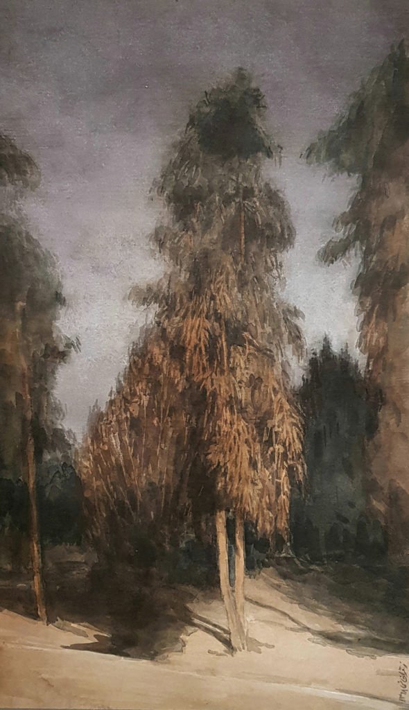 Zahra QaraKhani, Eucalyptus Trees, 2020