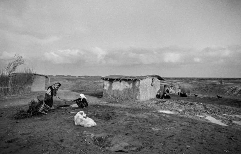 ساسان مویدی، شماره ۱۸