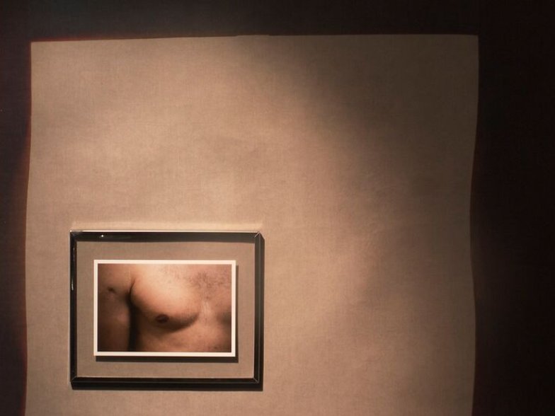 Hamid Shams, Untitled 4, 2015