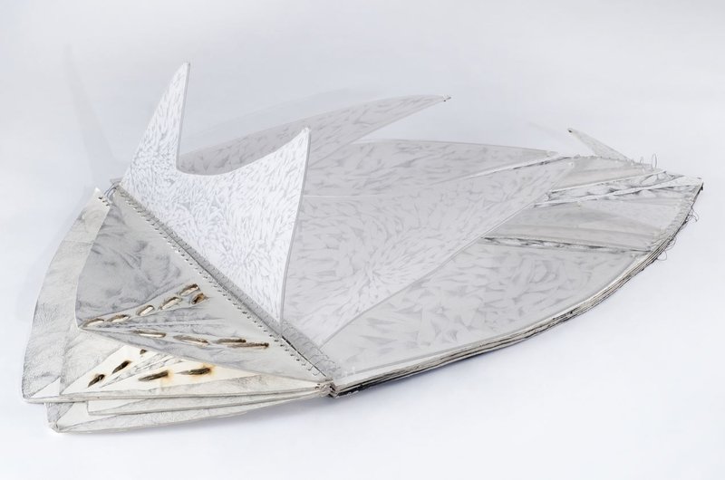Mahdieh Abolhasan, Raised, 2017