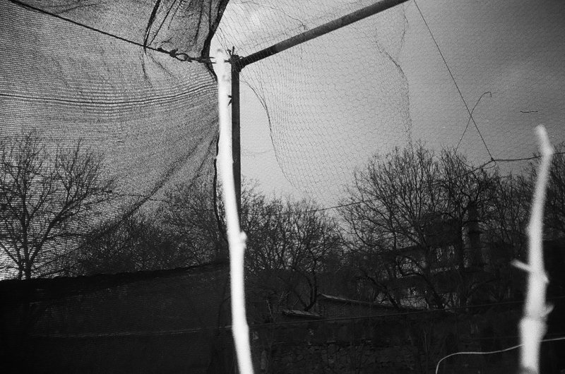 Kimia Askarian, Untitled, 2021