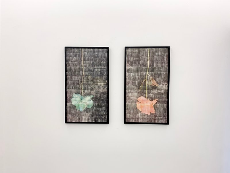 Photogenic, installation view