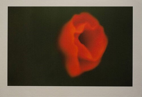 Shahin Esfandiari, Untitled, 2024