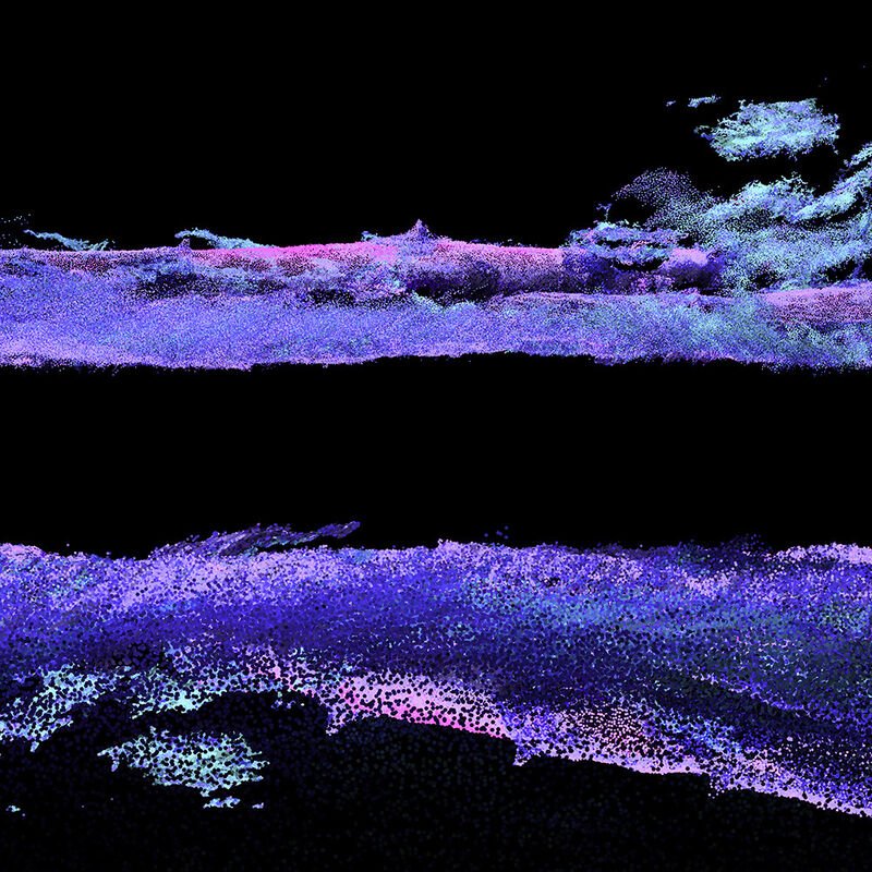 Ali Phi, Agnosia-10, 2021