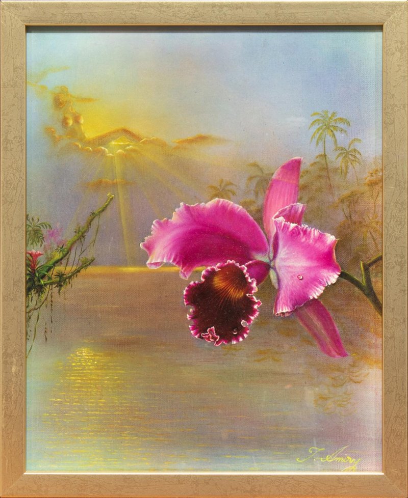 Teimur Amiry, Cattleya Orchid, 0
