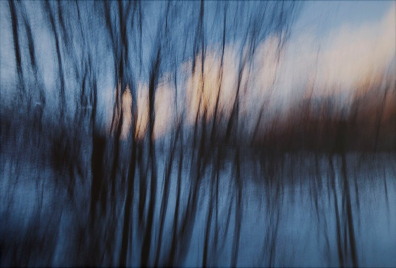 Amirhossein Heshmati, Untitled, 2019