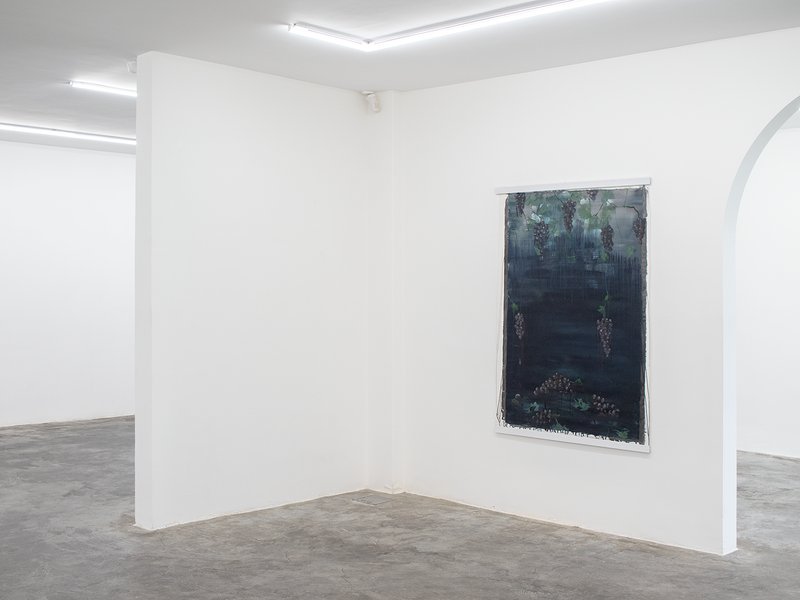 I Made Wine and It Turned To Grapes, installation view