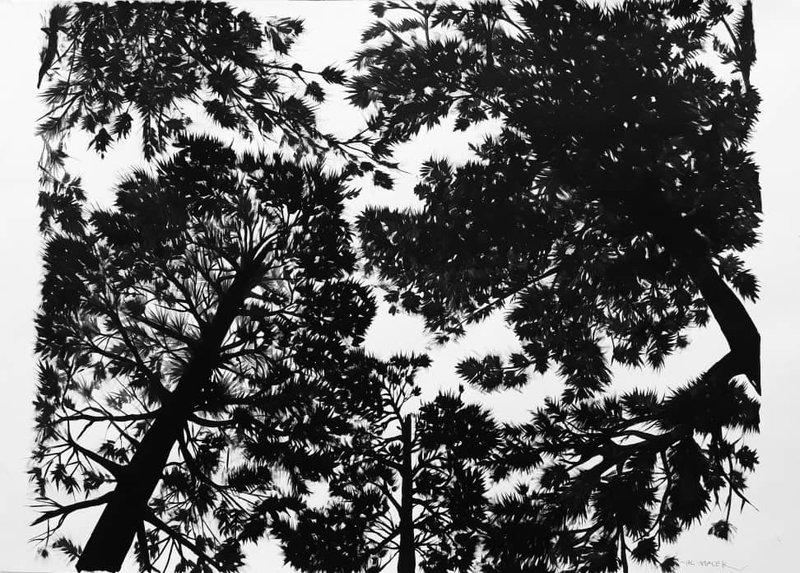 Ali Malek, Untitled, 0