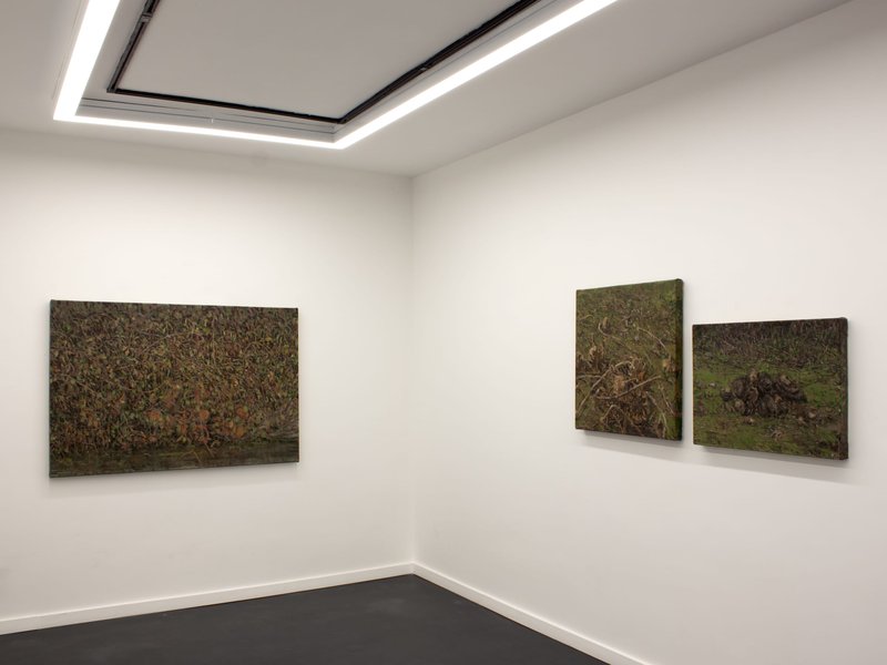 Enclosure, installation view