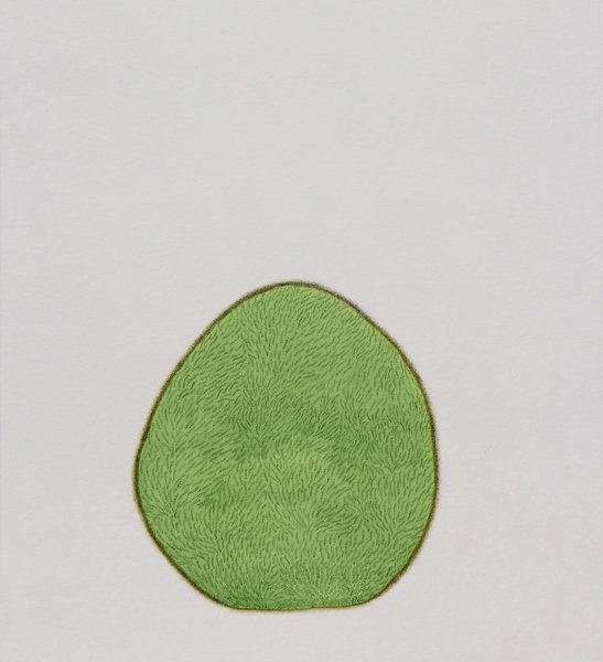 Maryam Baniasadi, Untitled, 2019