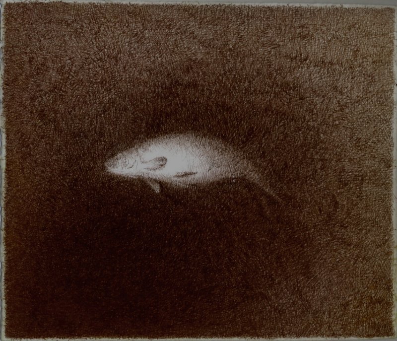 Mirmohamad Fatahi, Floating Fish, 2017