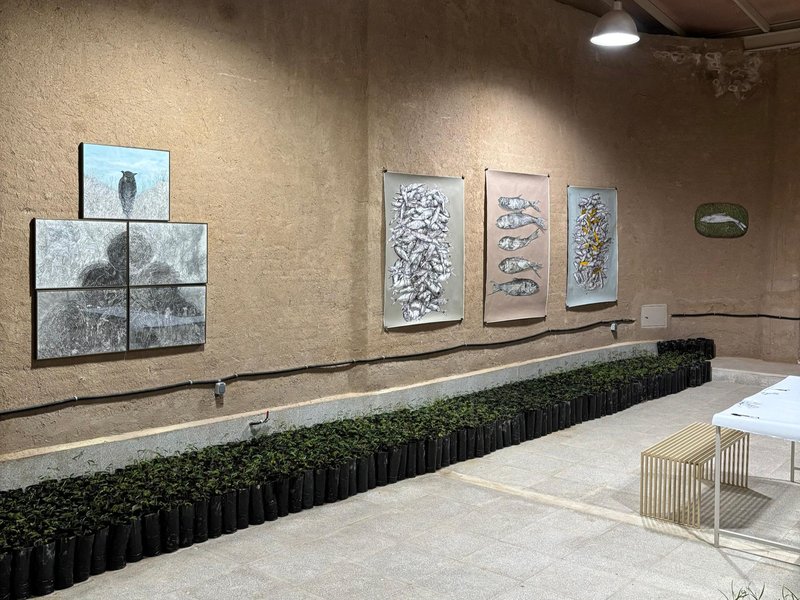 صحرا، صخره، صید، نمای چیدمان
