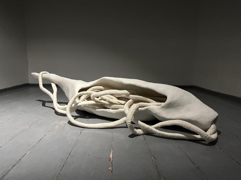 Samira Abdi, Untitled, 2024