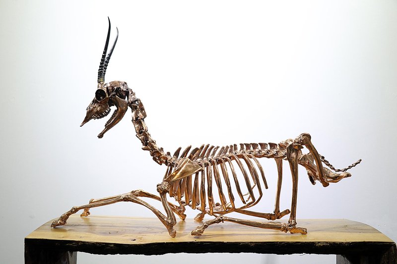 Alireza Memariani, Mummy of Hormoz Deer - Number 1, 2018