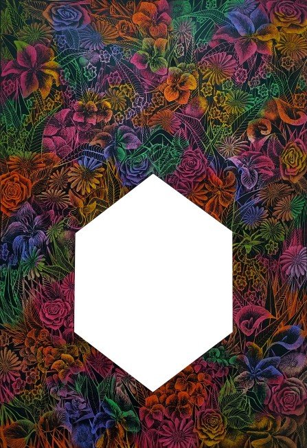 Paria Farrokhi, Untitled, 0