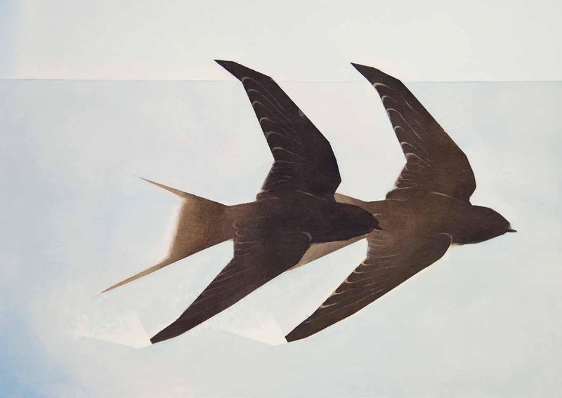 Shadi Salimi, Untitled, 2025