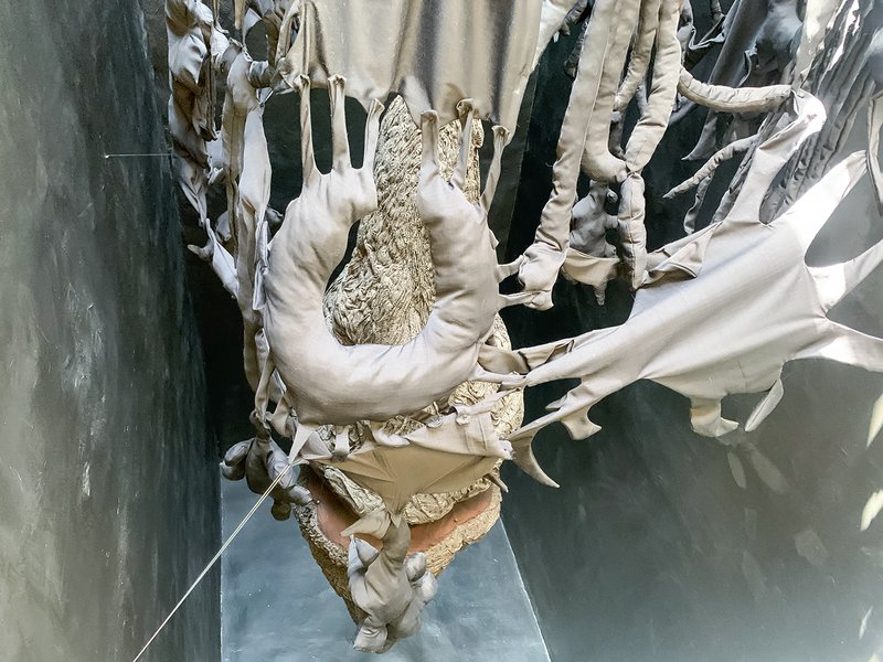 Greenhouse No. 2; A False Memory, installation view